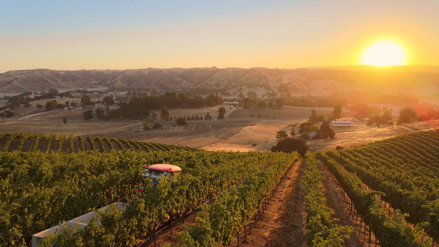 Visit One of Our California Estates San Antonio Winery