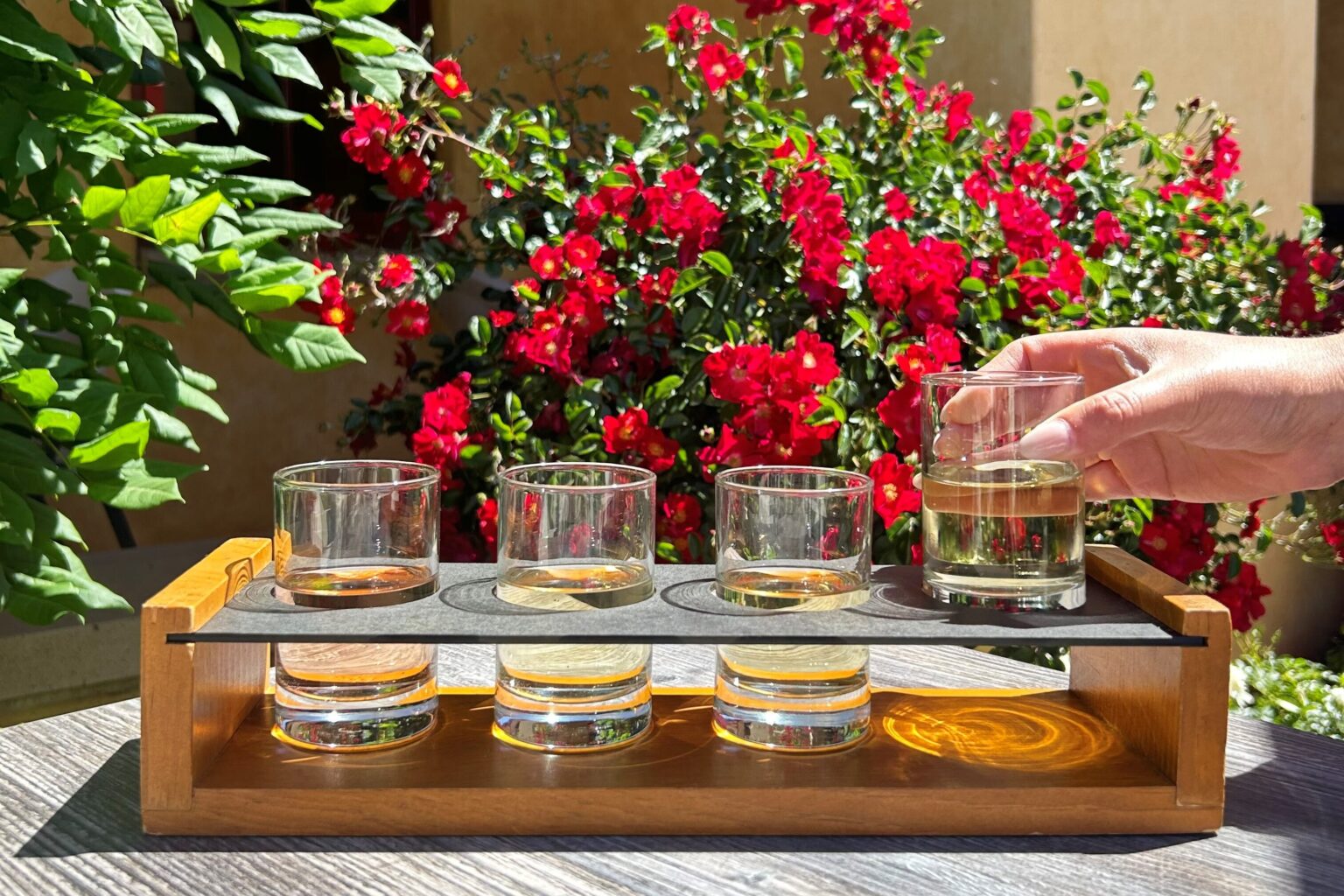 Tastings at Our Paso Robles Location San Antonio Winery