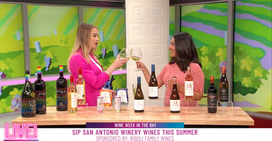 Women toasting with two glasses of wine on television segment